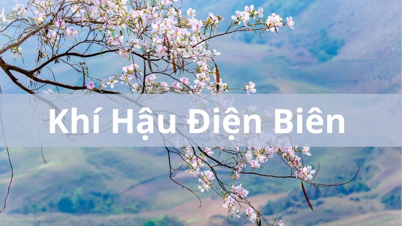 khí hậu Điện Biên