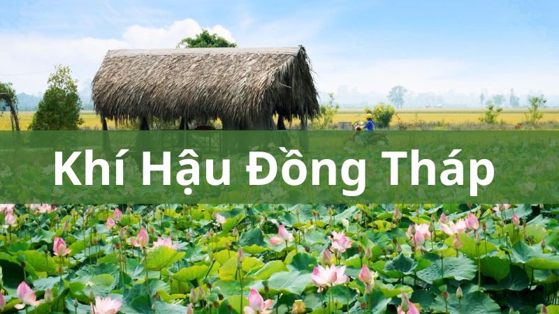 Khí hậu Đồng Tháp